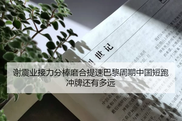 谢震业接力分棒磨合提速巴黎周期中国短跑冲牌还有多远