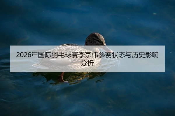 nian-guo-ji-yu-mao-qiu-sai-li-zong-wei-can-sai-zhuang-tai-yu-li-shi-ying-xiang-fen-xi-2-603.jpg