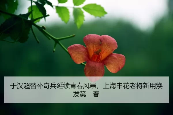 yu-han-chao-ti-bu-qi-bing-yan-xu-qing-chun-feng-bao-shang-hai-shen-hua-lao-jiang-xin-yong-huan-fa-di-er-chun-2-835.jpg