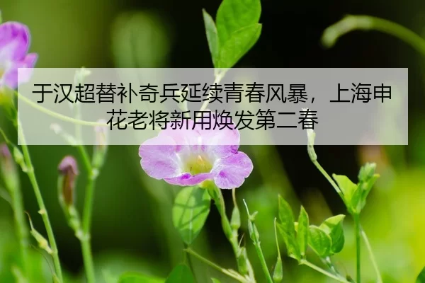 yu-han-chao-ti-bu-qi-bing-yan-xu-qing-chun-feng-bao-shang-hai-shen-hua-lao-jiang-xin-yong-huan-fa-di-er-chun-3-840.jpg