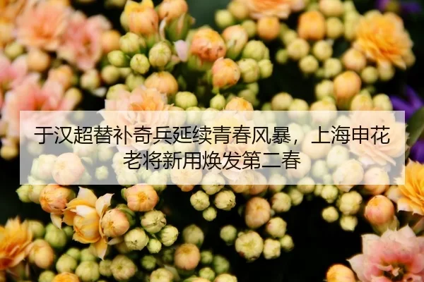 于汉超替补奇兵延续青春风暴，上海申花老将新用焕发第二春