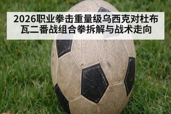 2026职业拳击重量级乌西克对杜布瓦二番战组合拳拆解与战术走向